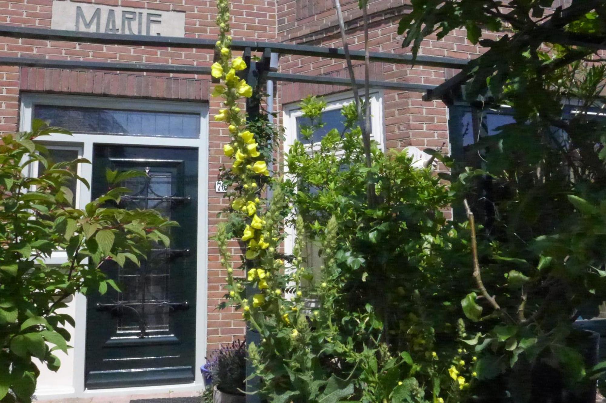 Family Home Marie Zandvoort Eksteriør bilde